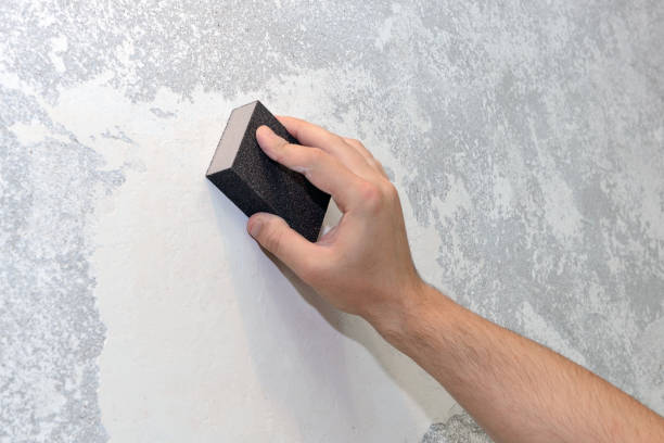 Mold Odor Removal Services in Ocklawaha, FL