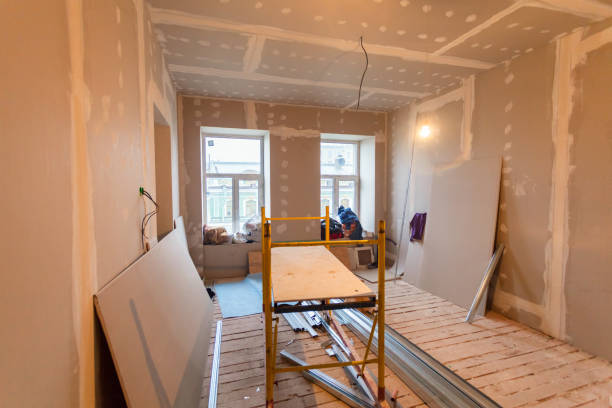 Best Mold Odor Removal Services  in Ocklawaha, FL
